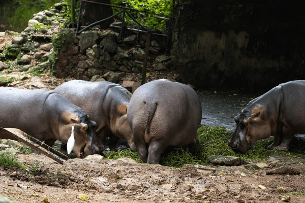 Thiruvananthapuram Zoo tourist place 